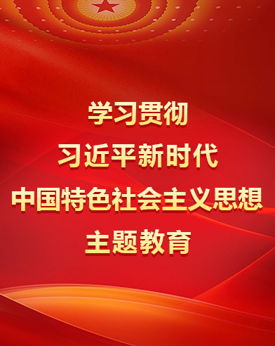 学习贯彻席大大新时代中国特色社会主义思想主题教育